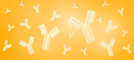 immunoglobulins_yellow tint.png