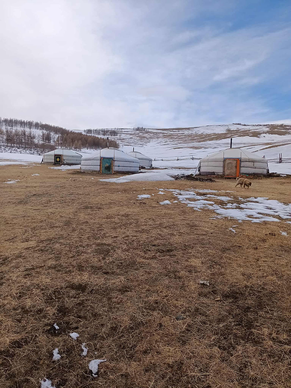 Planning Your Dream Vacation in Mongolia: Mongolia Vacation Tips