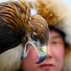 Hunting with Eagles: The Ultimate Guide to a Kazakh Eagle Falconry Expedition in Mongolia