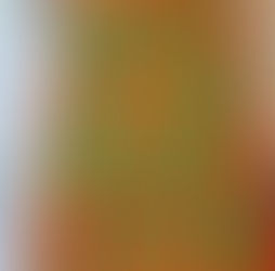 Discover Traditional Kazakh Embroidery and Handcrafted Arts