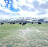 Mongolian Travel Planning Guide: Vacationing in Mongolia - A Complete Guide