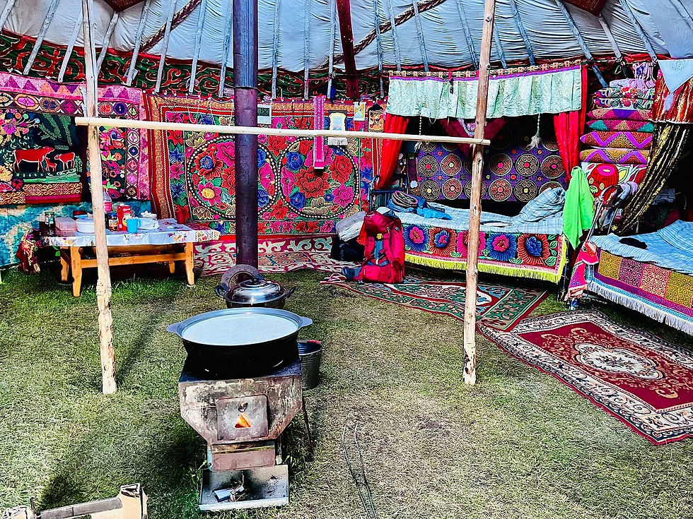 Living the Nomad Way: An Authentic Ger Stay Experience with Nomadic Herders in Mongolia