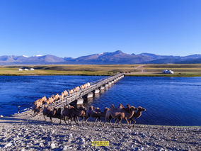 Explore Mongolia Photo Tours | Adventure Photography | Mongolia Adventure Photography Tour – Landscapes & Eagle Hunters