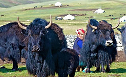 Kazakh family life