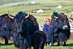 Day 2: Drive to Oigor Valley and start trekking