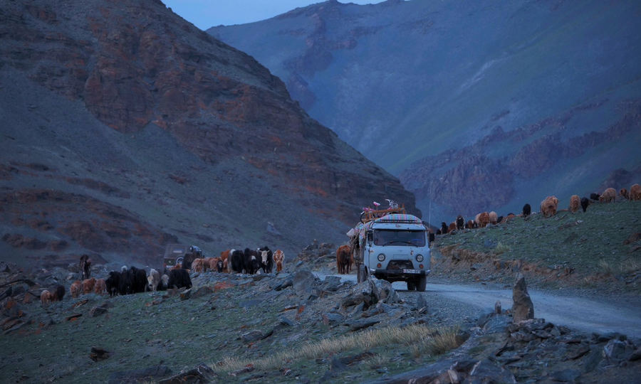 Kazakh nomad family moving livestock through an Altai valley in spring