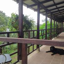 WhatsApp Image 2023-06-28 at 4.59.31 PM.jpeg