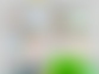 RELATÓRIO DE MEDIÇÃO V81