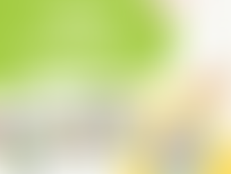 Rencontrer les associations...