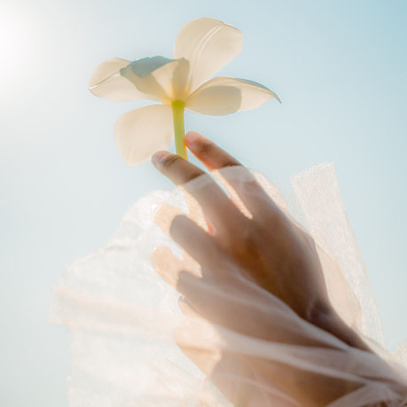 Plastic Flower_edited.jpg