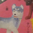 received_907659140006178.jpeg
