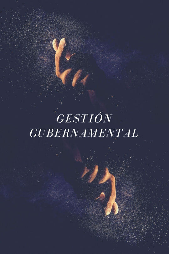 GESTIÓN GUBERNAMENTAL
