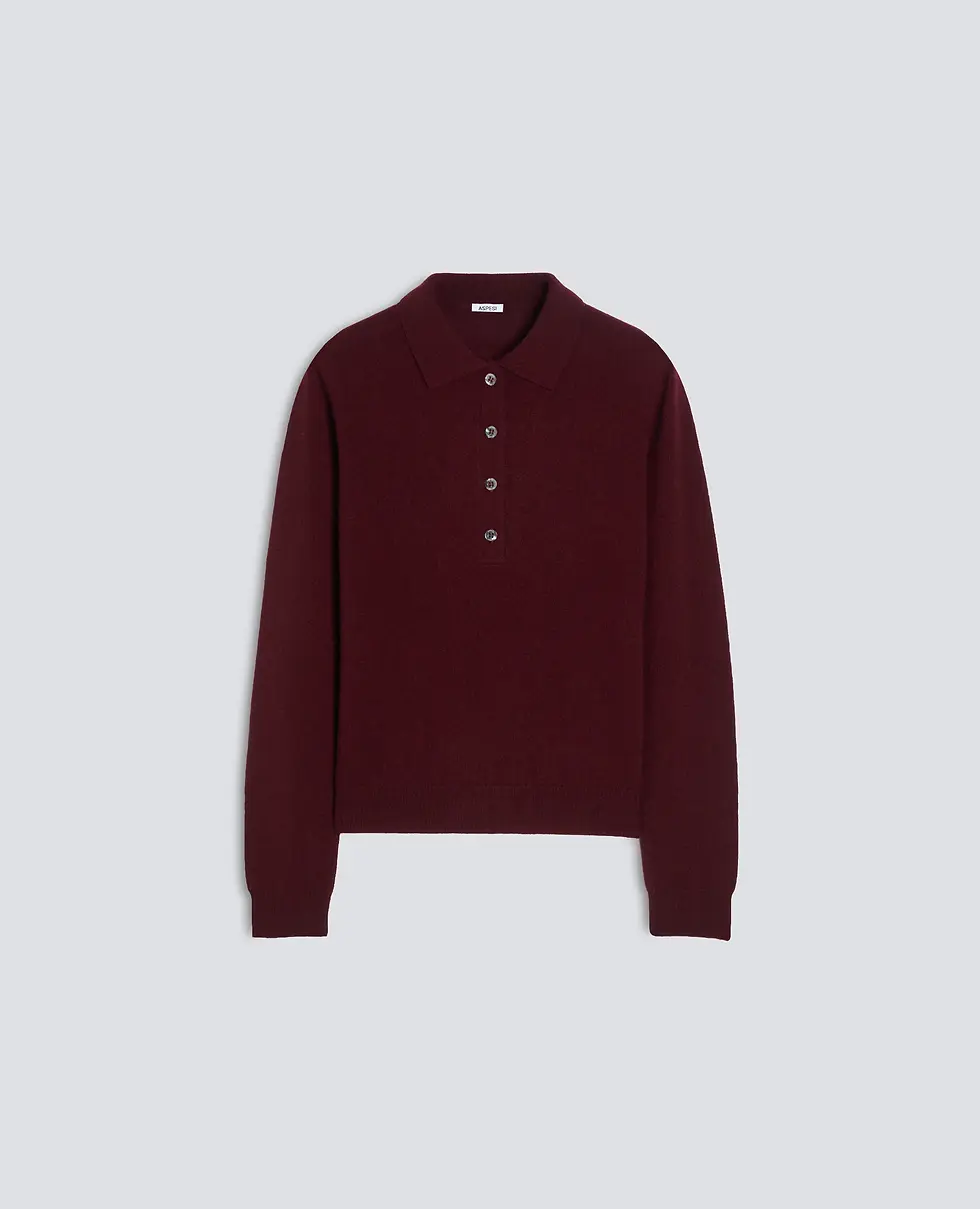 Thumbnail: Cashmere Polo Aspesi 3306