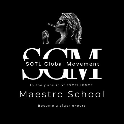 maestroschoollogonew.jpg