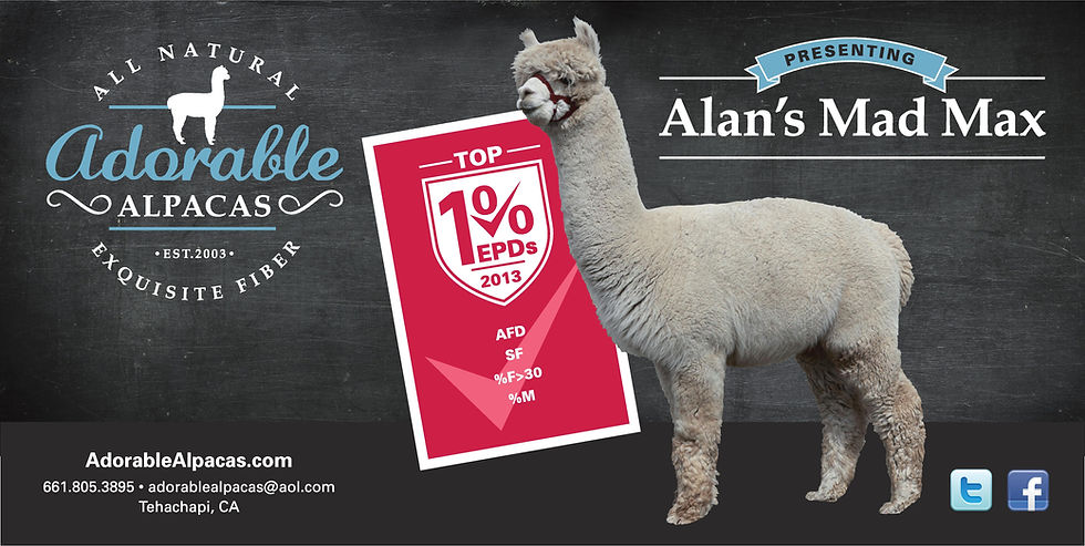 Adorable Alpacas' Mad Max
