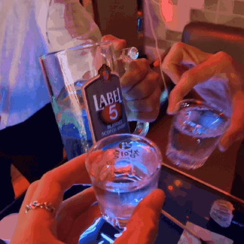 일산노래방 vip룸에서 술자리 하고 있는 gif 영상