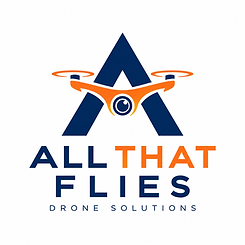 ALL THAT FLIES LOGO.png