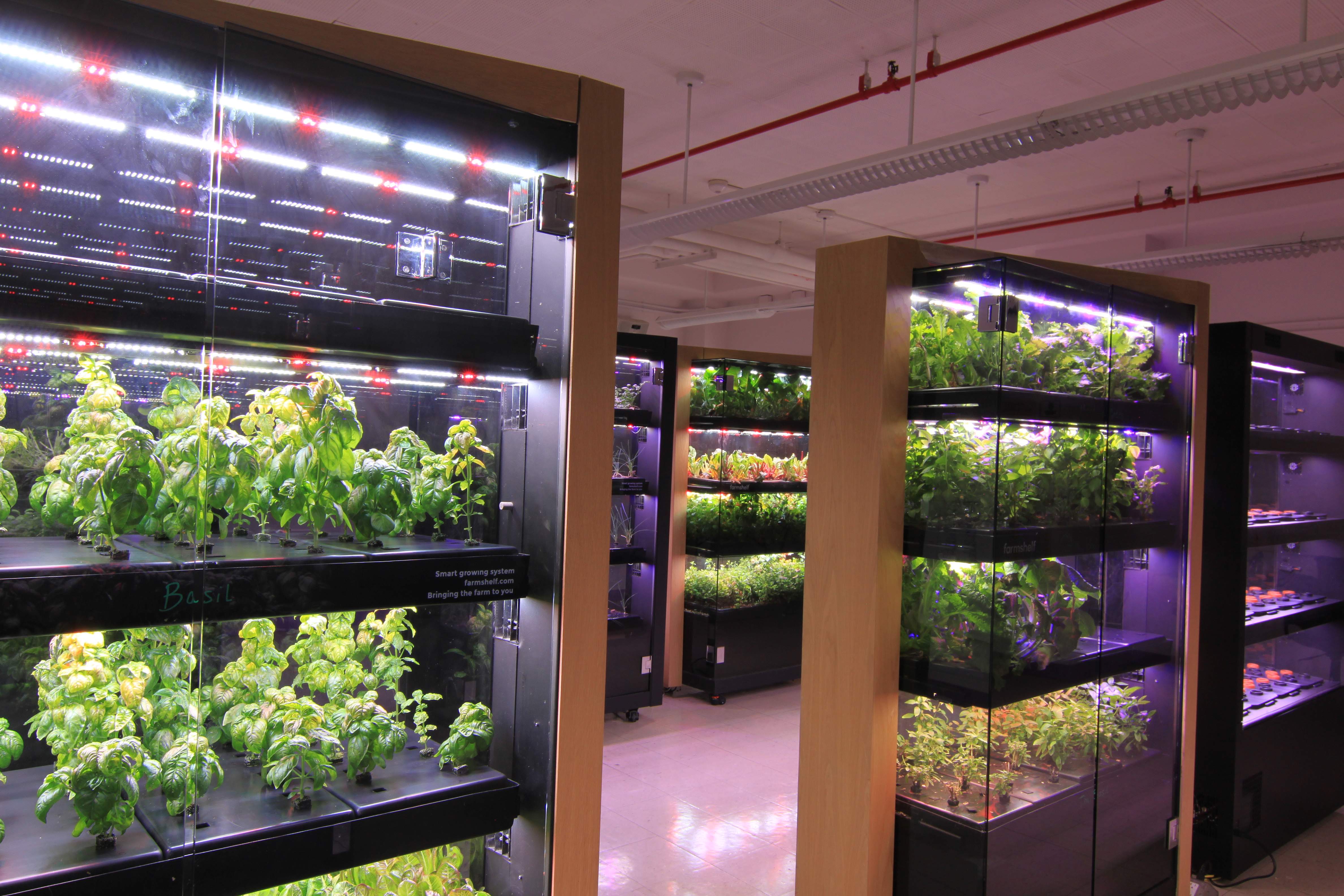 Bda Brooklyn Democracy Academy United States