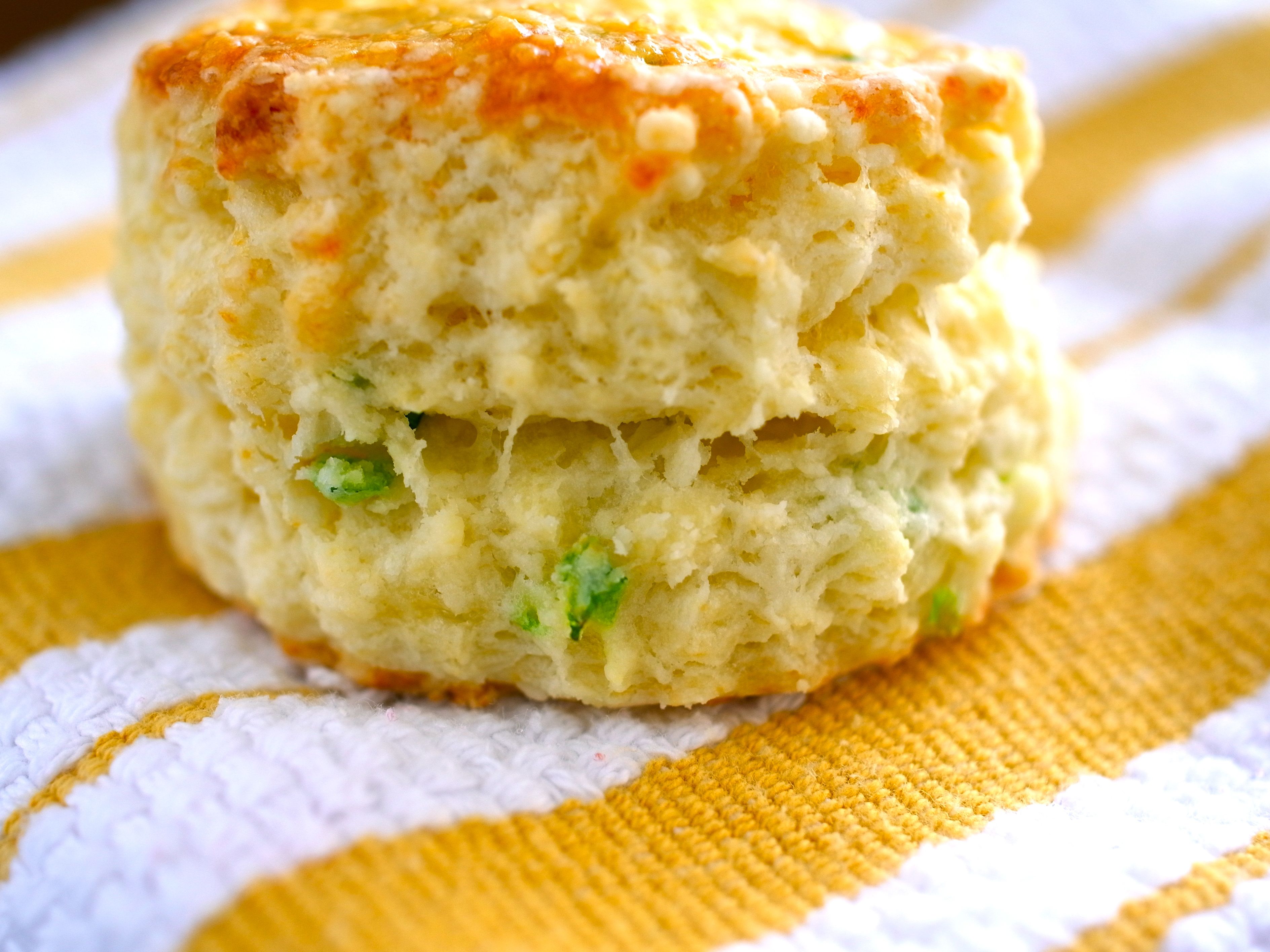 Cheese & Herb Biscuit