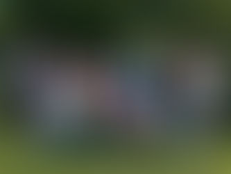 Welttag des Buches: Ich schenk dir eine Geschichte