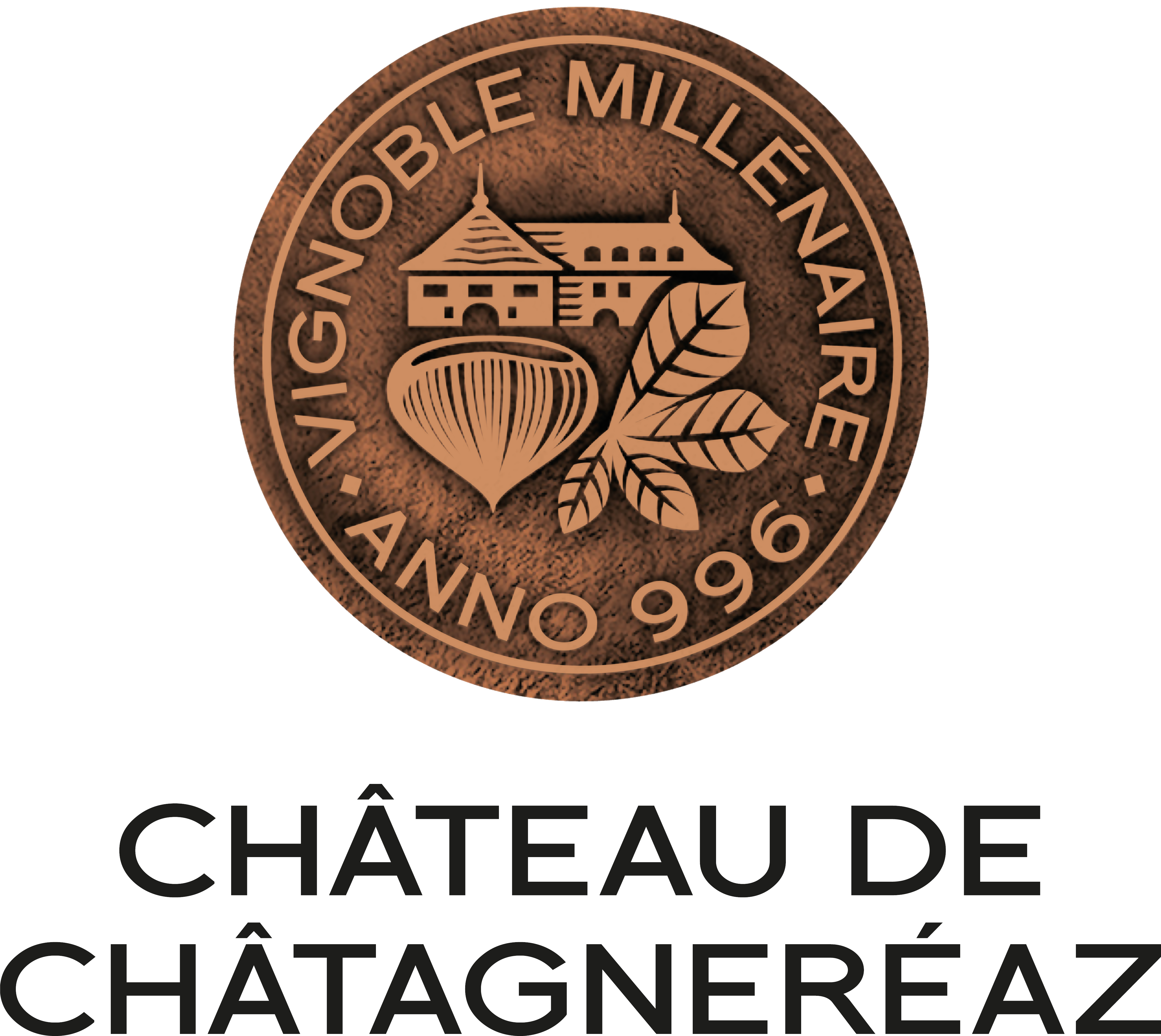 Château de châtegneréaz