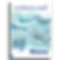Issue 1 : Waves : Print