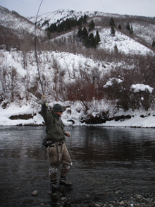 Provo River in Provo Canyon fly fishing