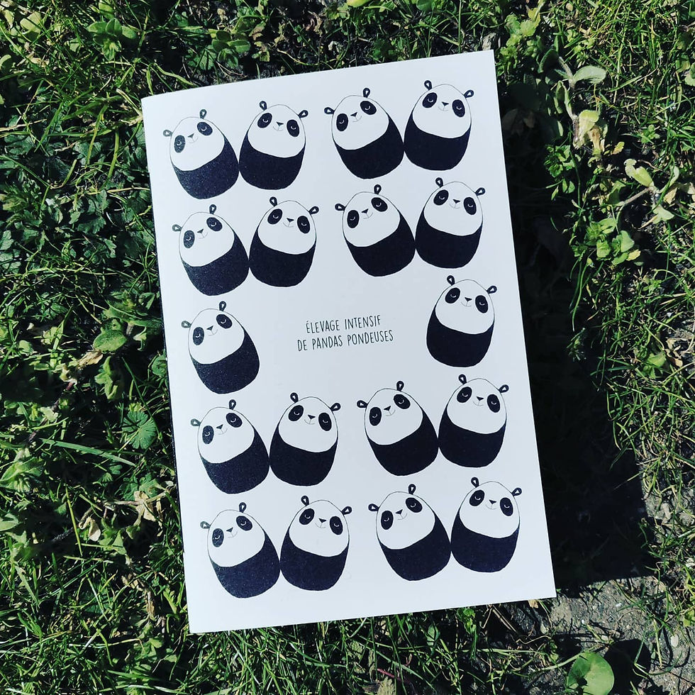 Miniature : Carnet Pandœuf