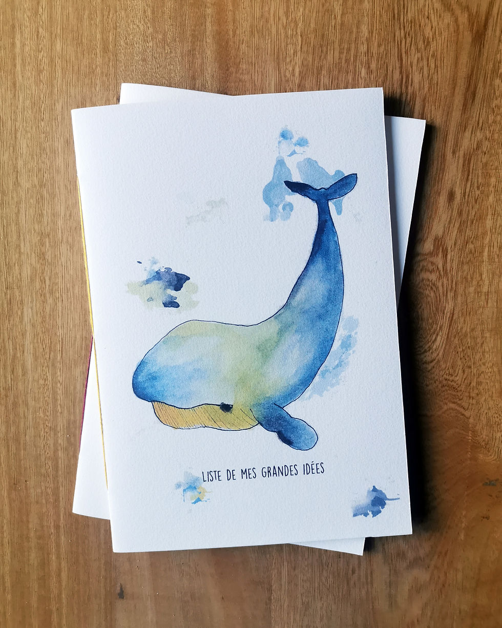 Miniature : Carnet de notes Aqua