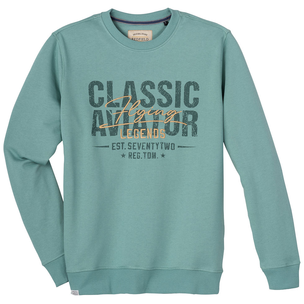 Miniaturbild: REDFIELD Sweatshirt ONeck 22611402 hellblau 4-8XL