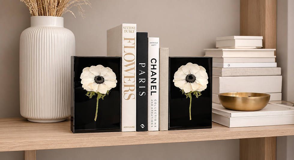 DBANDREA Bookends Banner.png