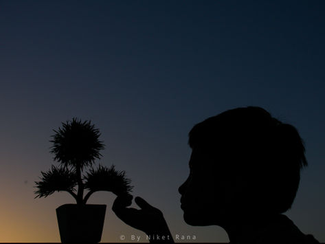 Silhouette Photography