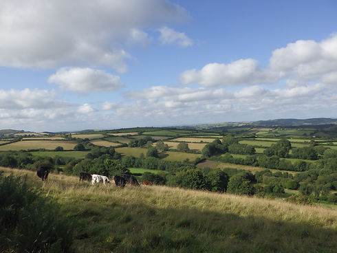R0014086.JPG