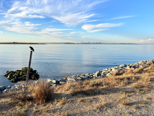 Self-Esteem & Relationships