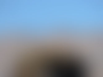 Authenticity and Culture