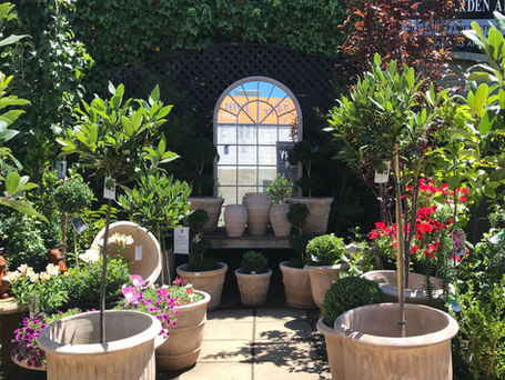 FRENCH + ENGLISH = FRANGLAISE