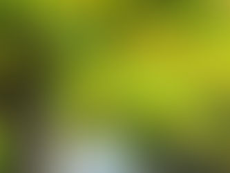 ADELAIDE - HAHNDORF, MT LOFTY & DOWNTOWN