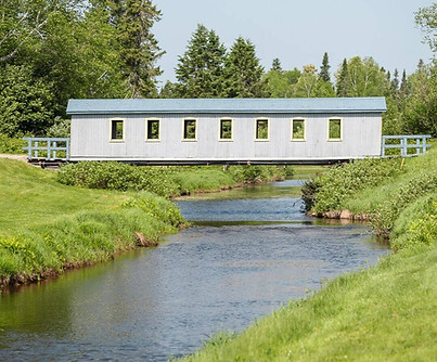 gros plan 1er pont couvert.jpg