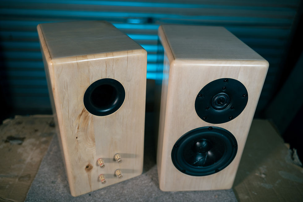 speaker cabinet edges rounded over