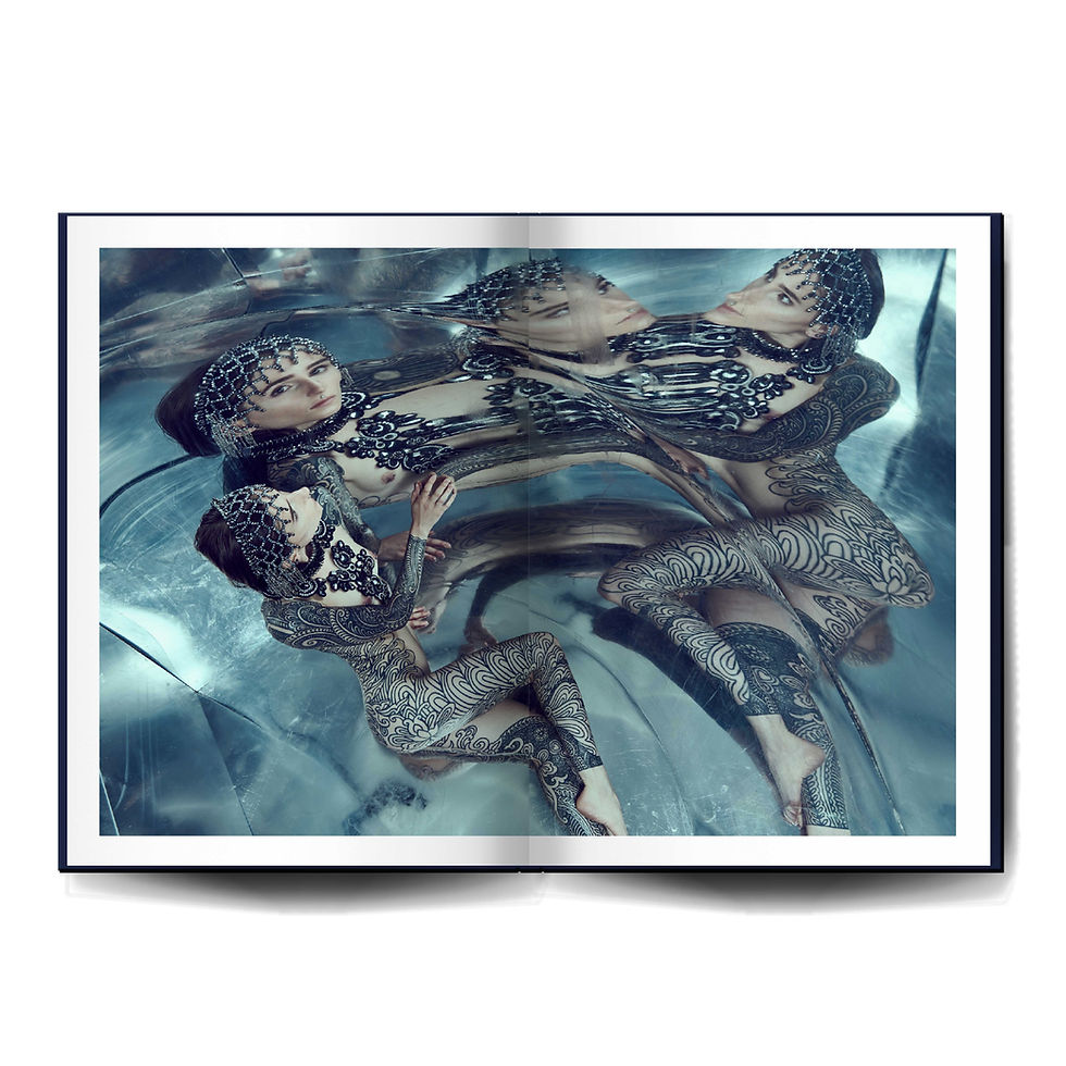 Miniature : Normal Numéro 14 Officiel