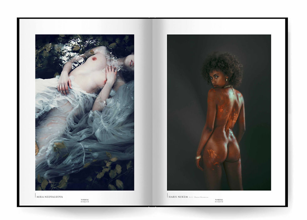 Thumbnail: Normal Magazine - Special Edition N°2 - Online