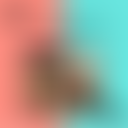 a women on a horse shooting a bow and arrow