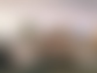 VER LA LUZ, SENTIR LA LUZ