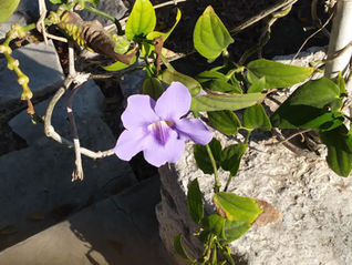 Un temps d'espérance