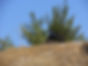 DSCN2423.JPG