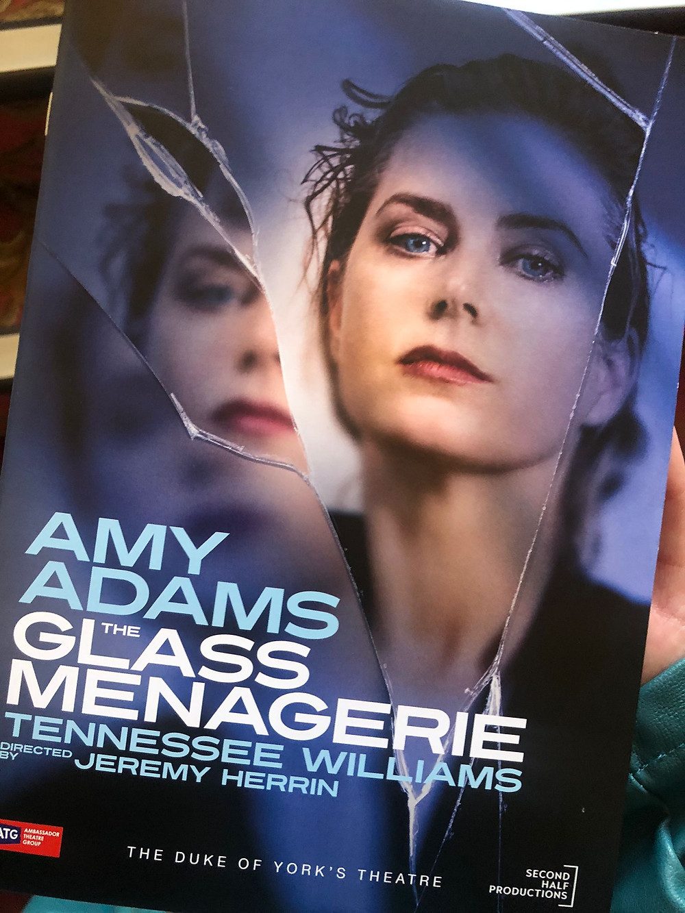 Amy Adams in Glass Menagerie program