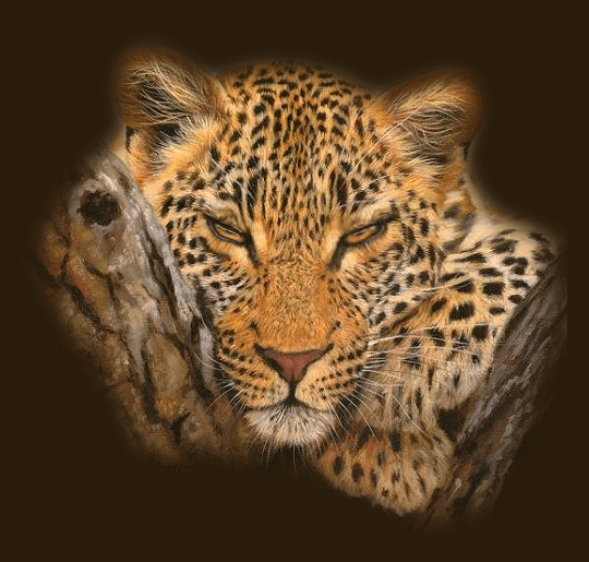 animated-leopard-gif-3.gif