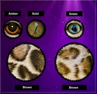 EYE COLORS BROWN framed.jpg