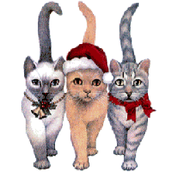 3kitsfront.gif