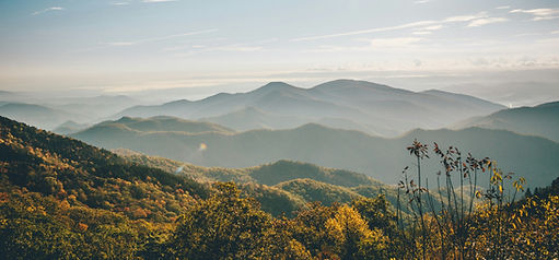 wes-hicks-Qa2rx5RSAAI-unsplash_edited.jpg